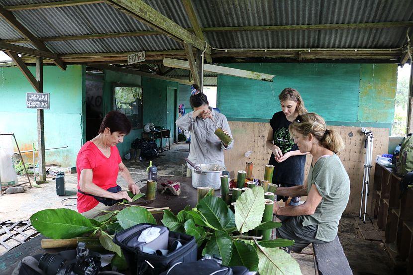 Enrichment in Borneo