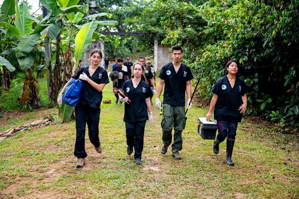 The Peru Wildlife Sanctuary team walking with equipment to rescue wildlife from a huge seizure
