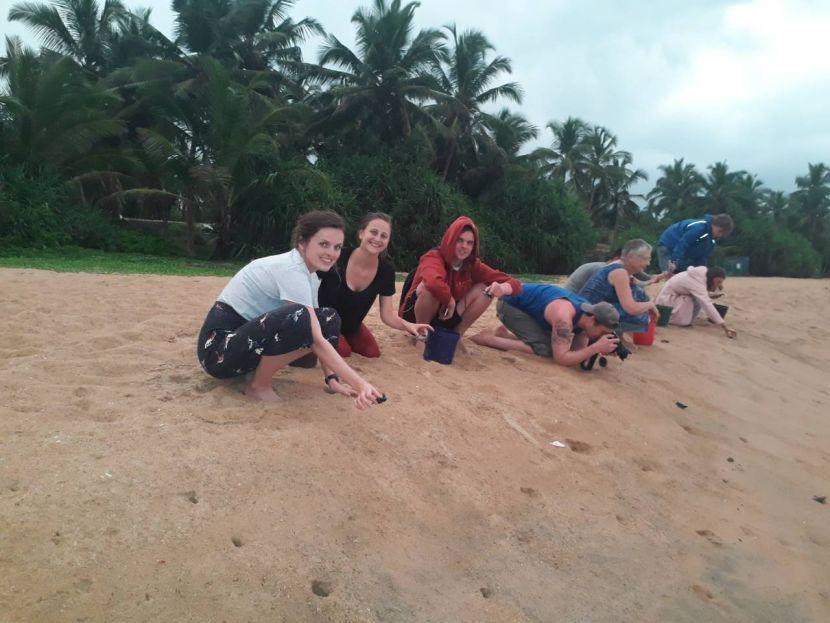 volunteers releasing baby turtles to sea