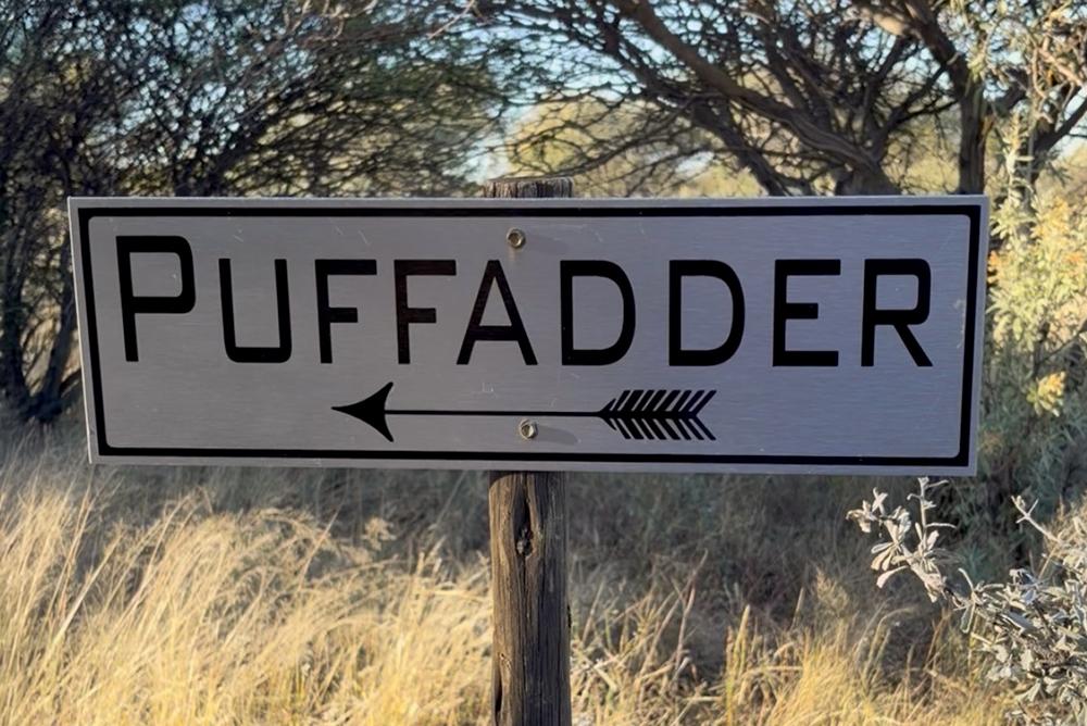 Puffadder Room