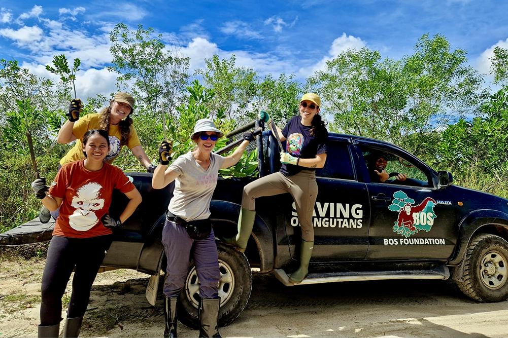 Volunteers Collecting Nesting Materials