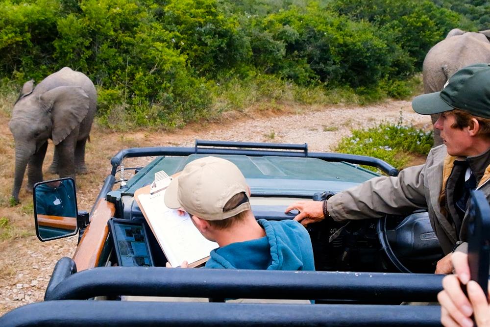 Volunteers Monitoring Elephants