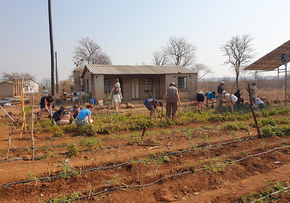 Victoria Falls Conservation Experience - Volunteers Helping at School