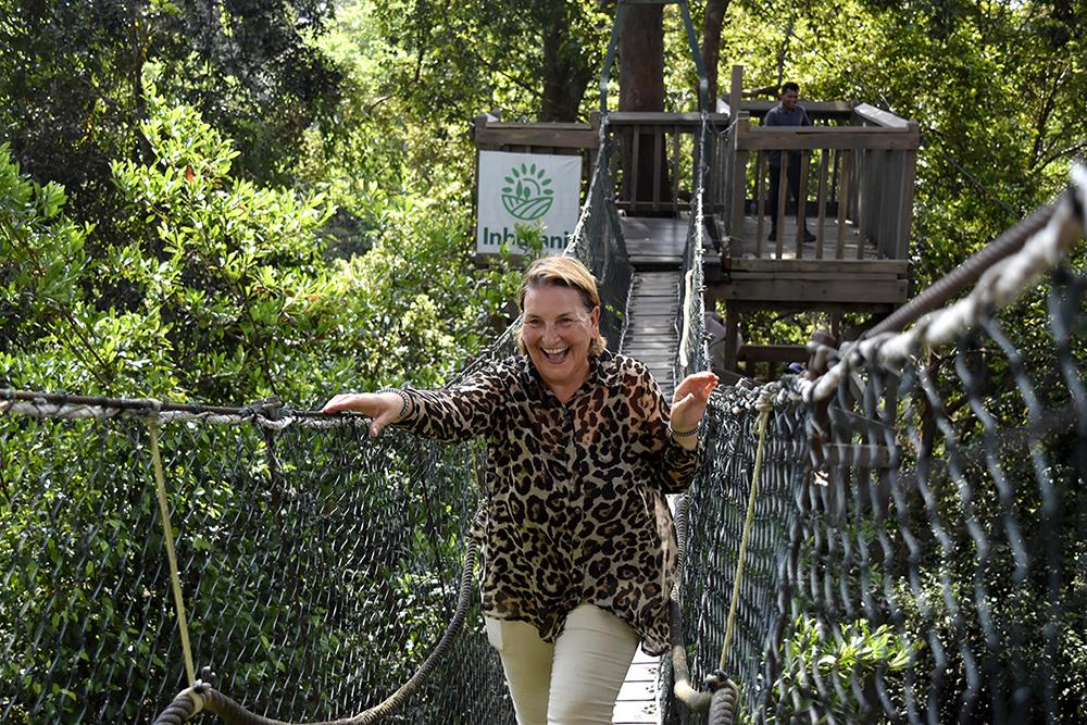 Volunteer on Rainforest Canopy Walk