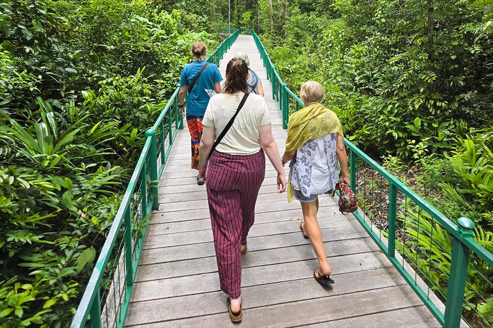 Volunteers Take Jungle Walk