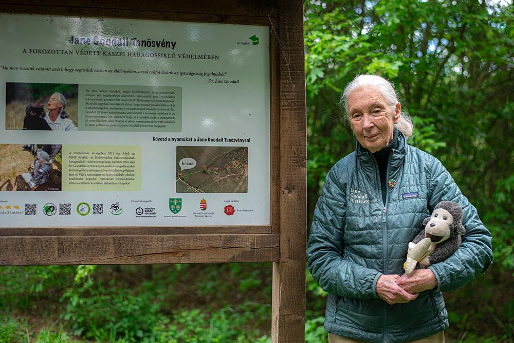 Remembering Jane Goodall