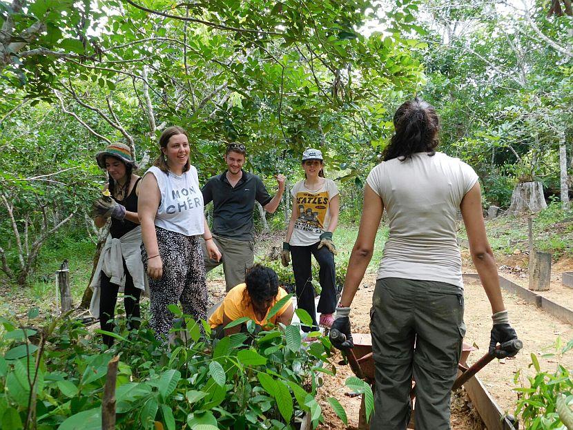 Tree Planting