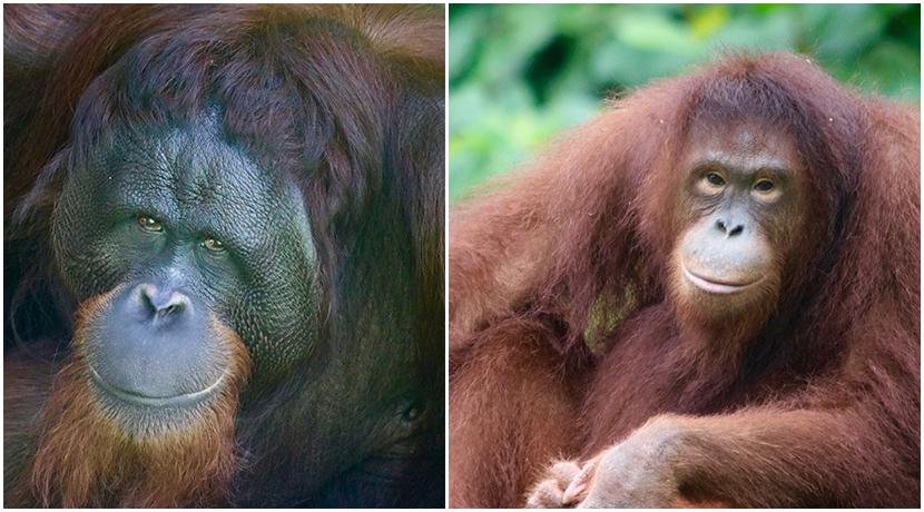 ohm and maria at matang wildlife centre