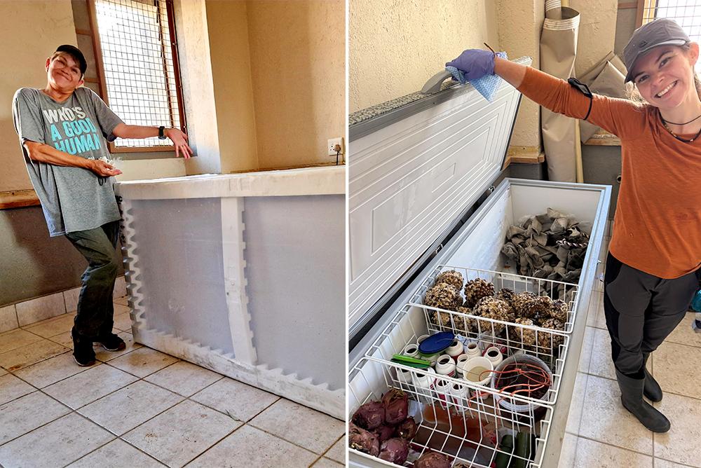 Fridge Donated by Volunteers Now Filled with Enrichment