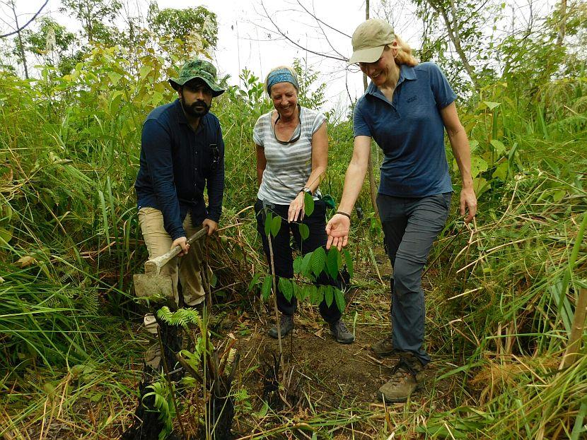 Borneo Volunteers