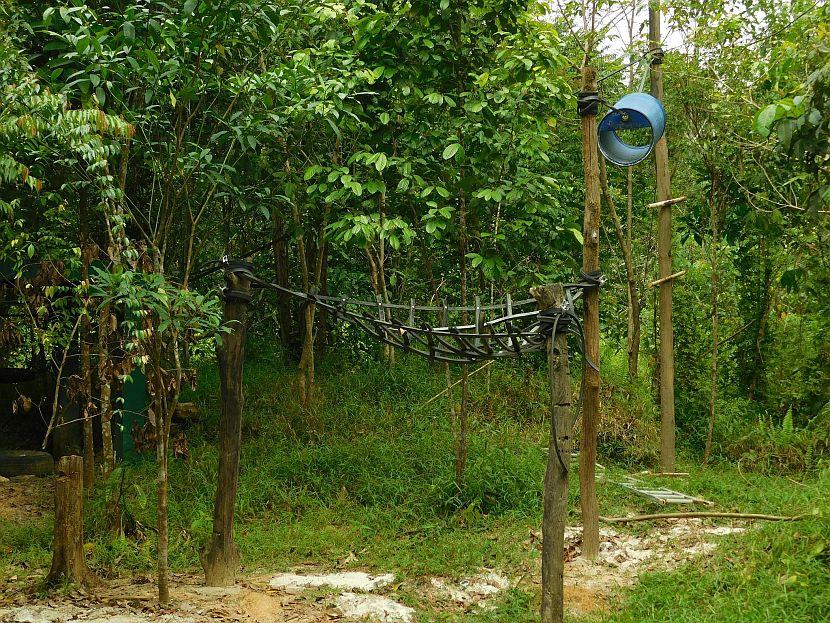 Orangutan HAmmock