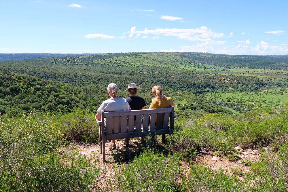 Making Friends on Shamwari Conservation Experience