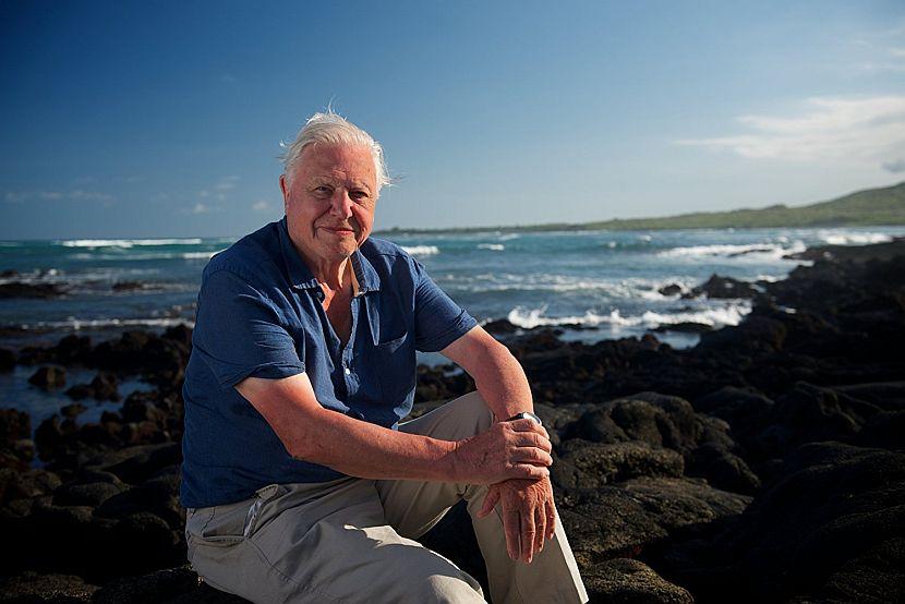 David Attenborough beach