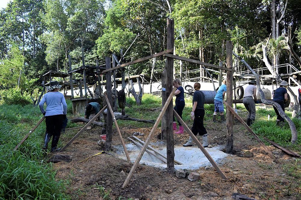 Sun Bear platform at Samboja Lestari