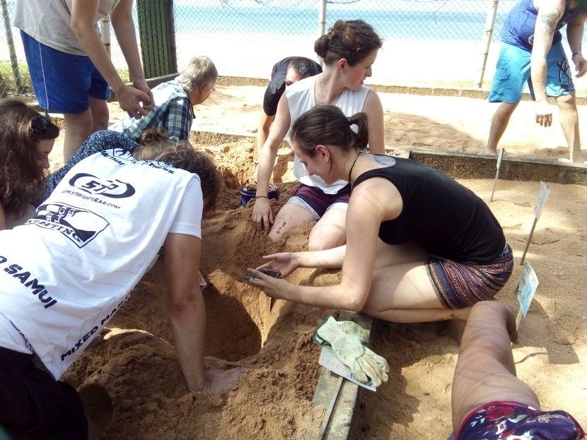 volunteers bruying turtle eggs at turtle sanctuary