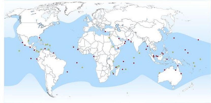 Green Turtle Map