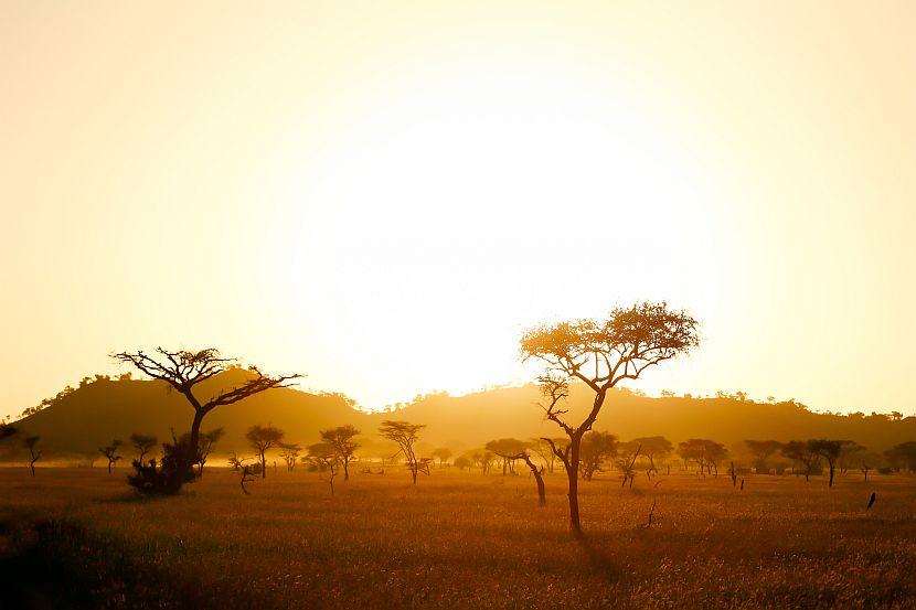 African Sun