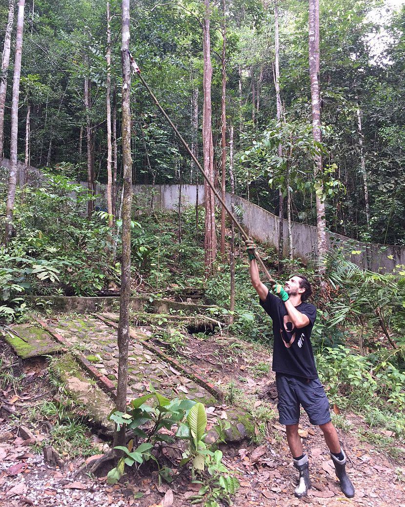 Volunteer working on a bear enclosure in Borneo