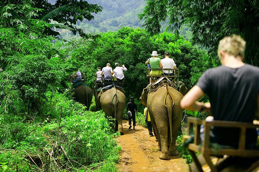 Elephant back riding