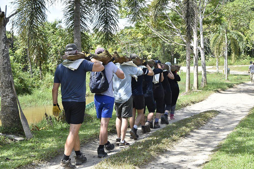 Volunteers walking with ironwood