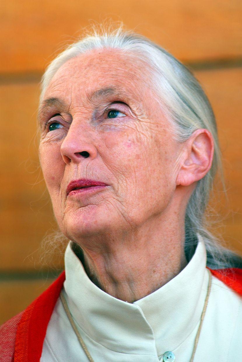 Jane Goodall