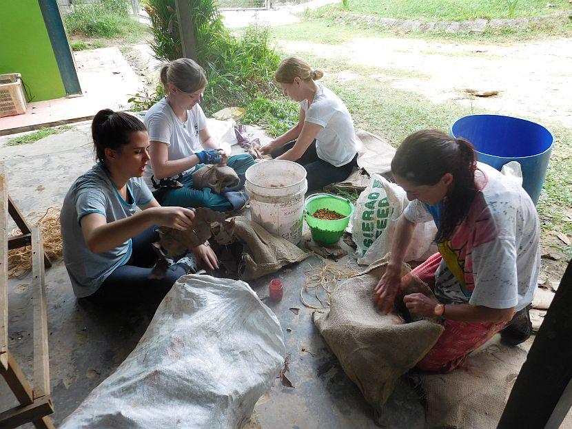 Volunteers in Borneo