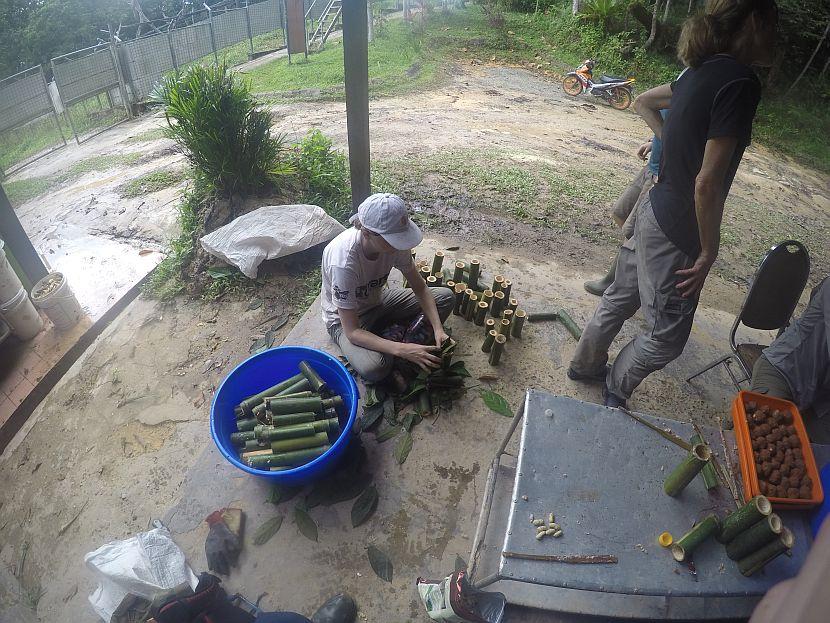 Bamboo Enrichment