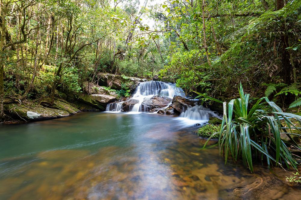 Andasibe Mantadia National Park