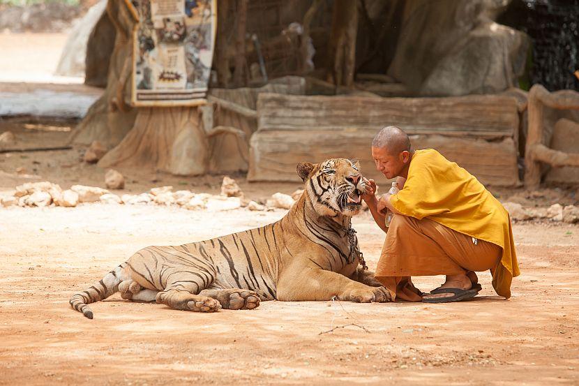 Tiger Temple