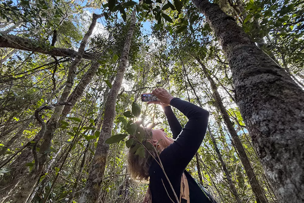 Volunteer recording wildlife behaviour during conservation research