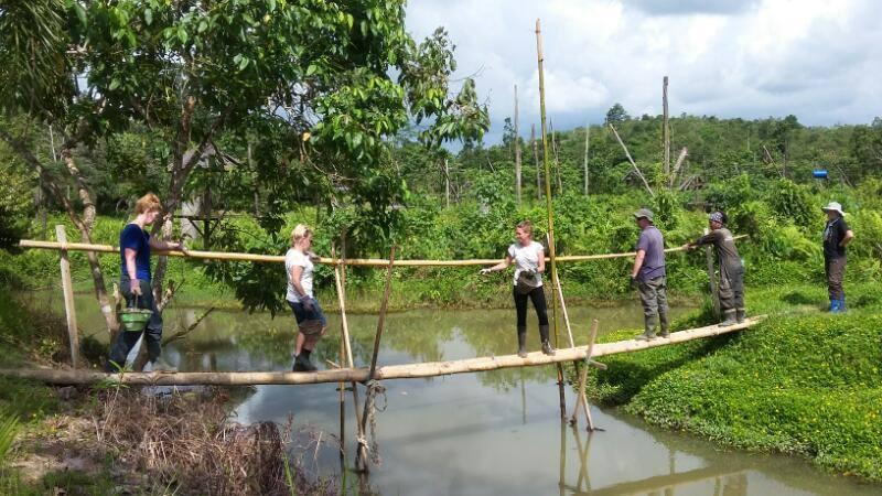 Borneo Bridge