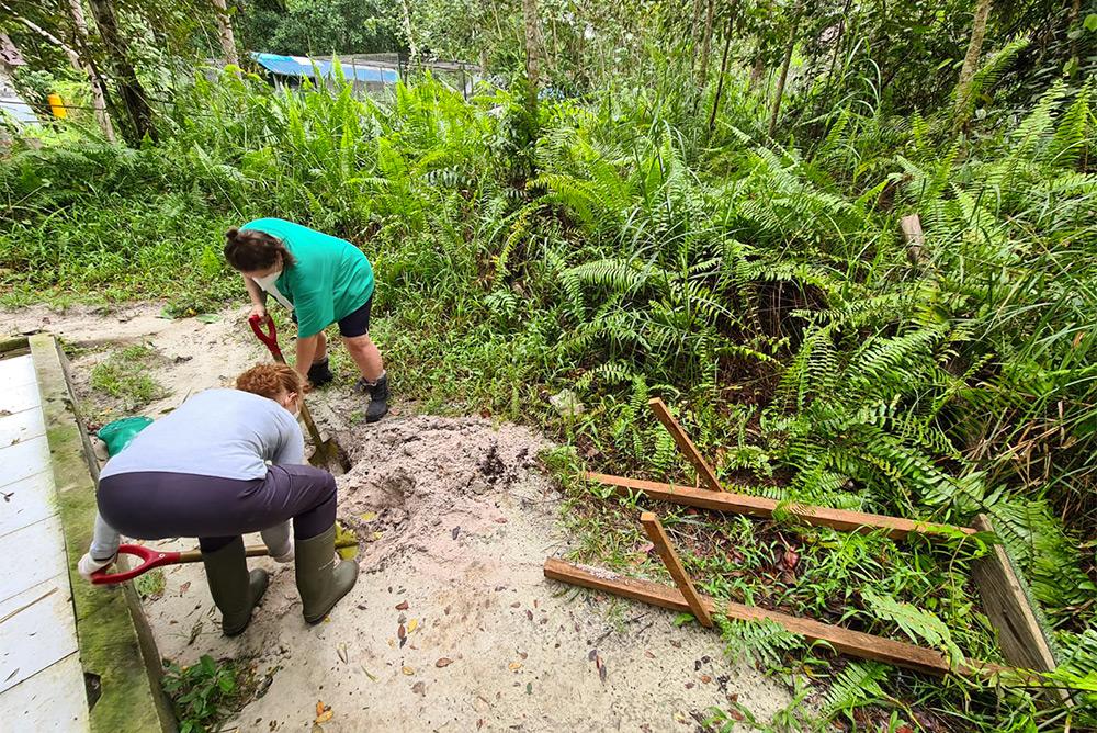 Building Orangutan Enclosures 