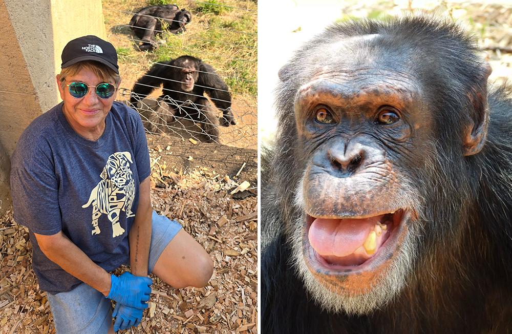 Cynthia and Chimpanzee Cozy