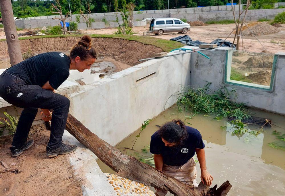 Volunteers Helping with Enclosure Construction