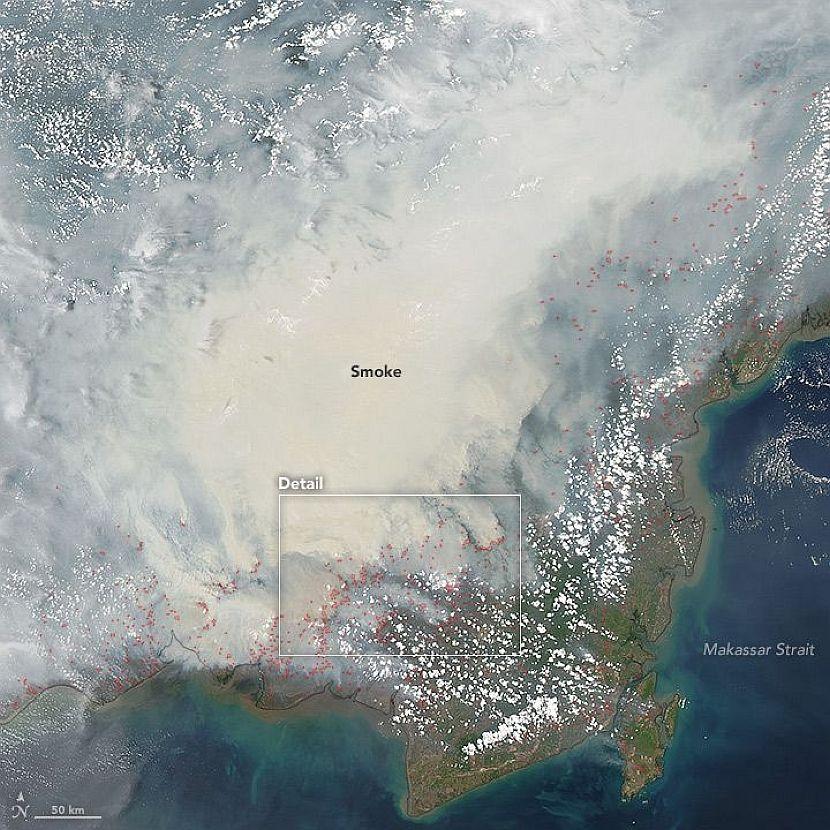 Indonesia Forest Fire