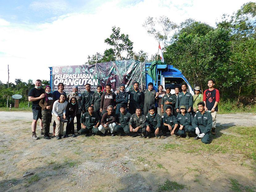 Orangutan Release Team