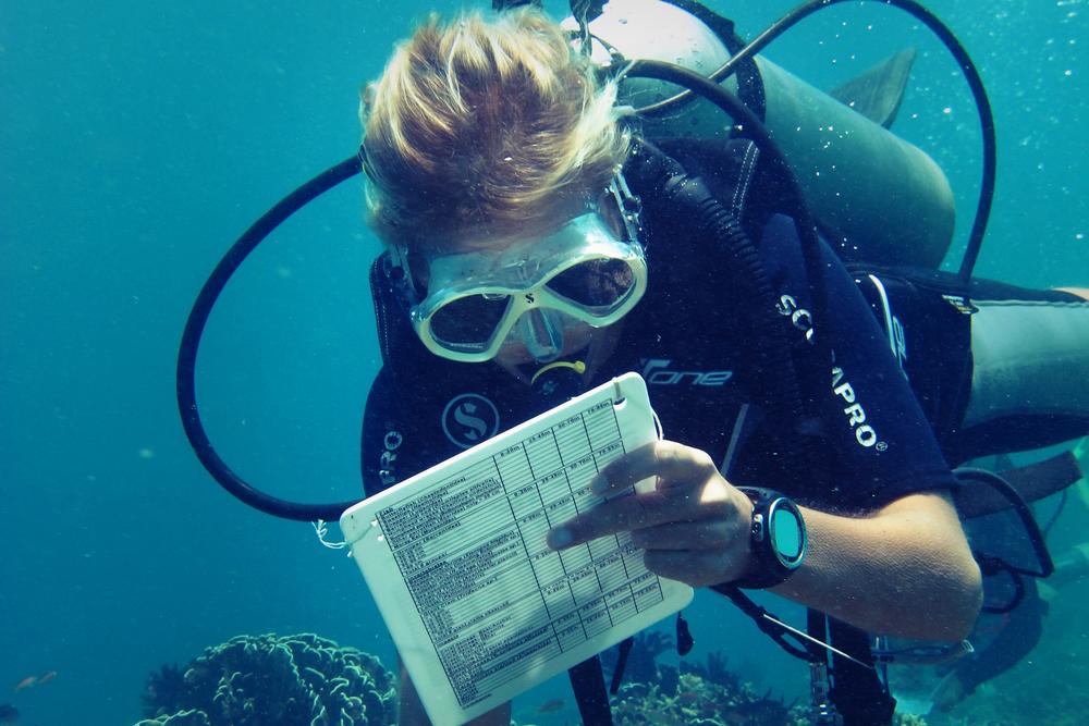 Volunteer on a Marine Survey