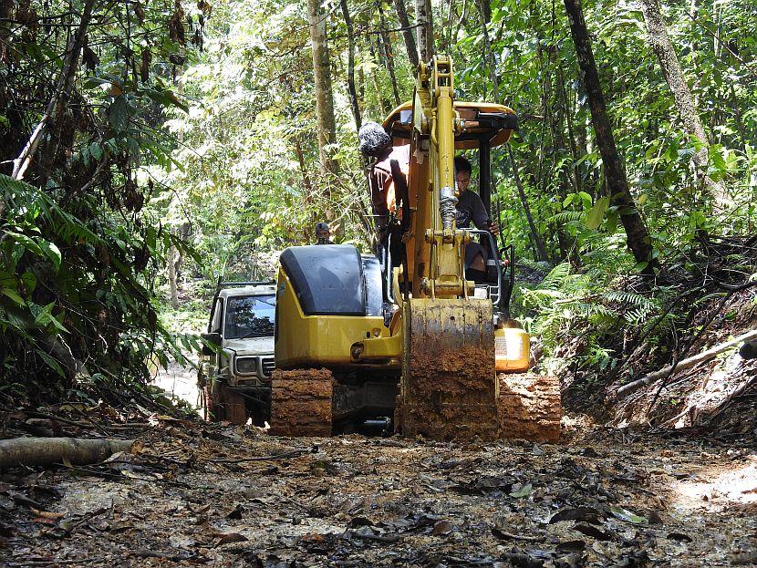 JCB Helping Orangutan Release