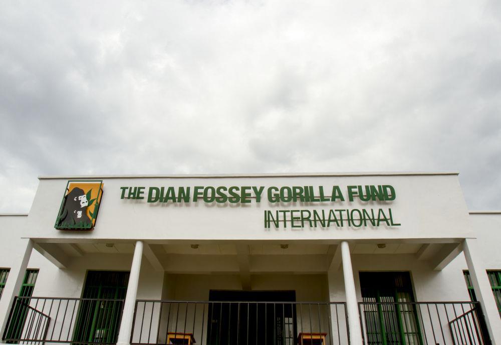 Dian Fossey Gorilla Fund International