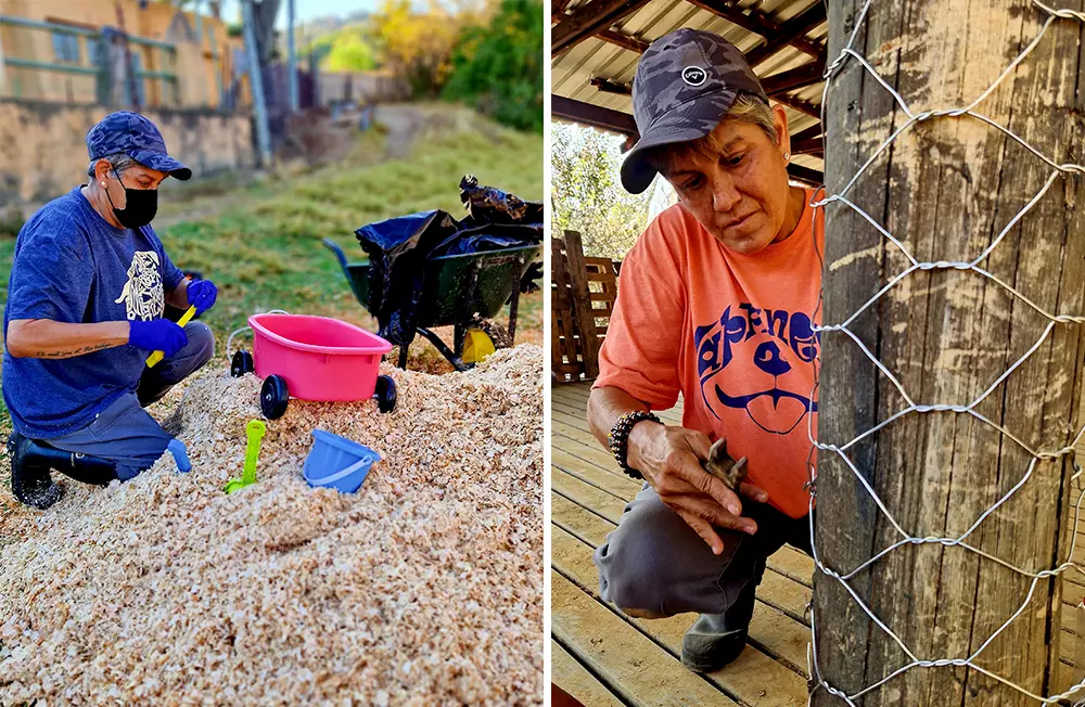 Cynthia Undertaking Volunteer Activities