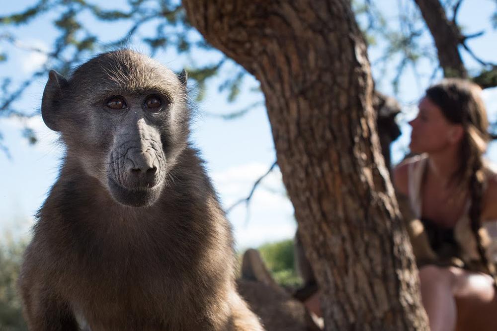 Namibia Wildlife Sanctuary