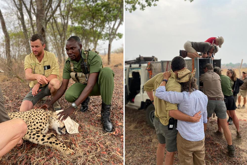 Kumbe and Jabari Depart The Rhino & Elephant Conservation Project