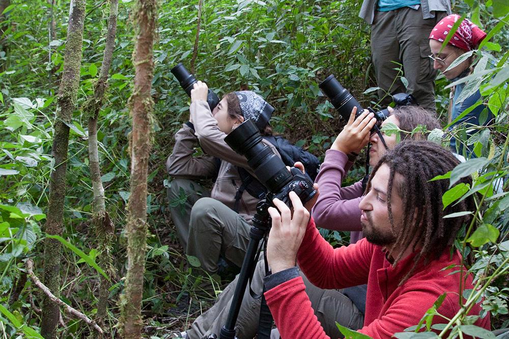 Volunteers on Lemur Research Project in Madagascar