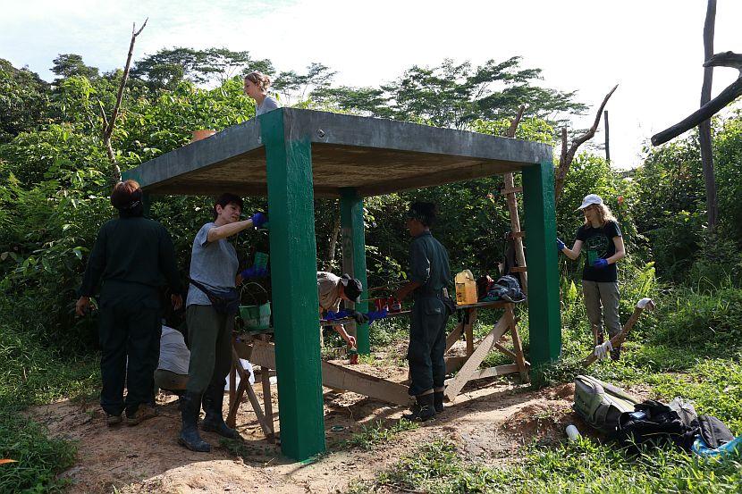 Volunteers Working in Borneo