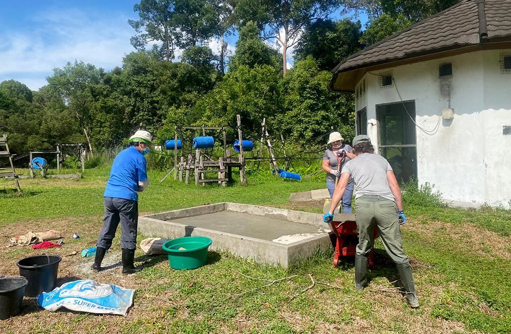 Volunteers Building Cooling Pool