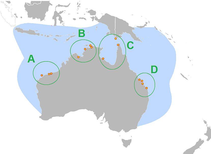 Flatback Turtle Map