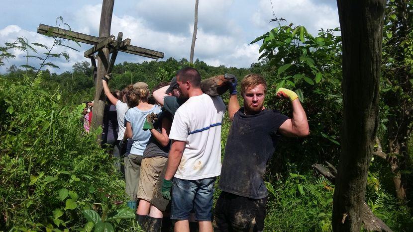 volunteer abroad with endangered orangutans in borneo 