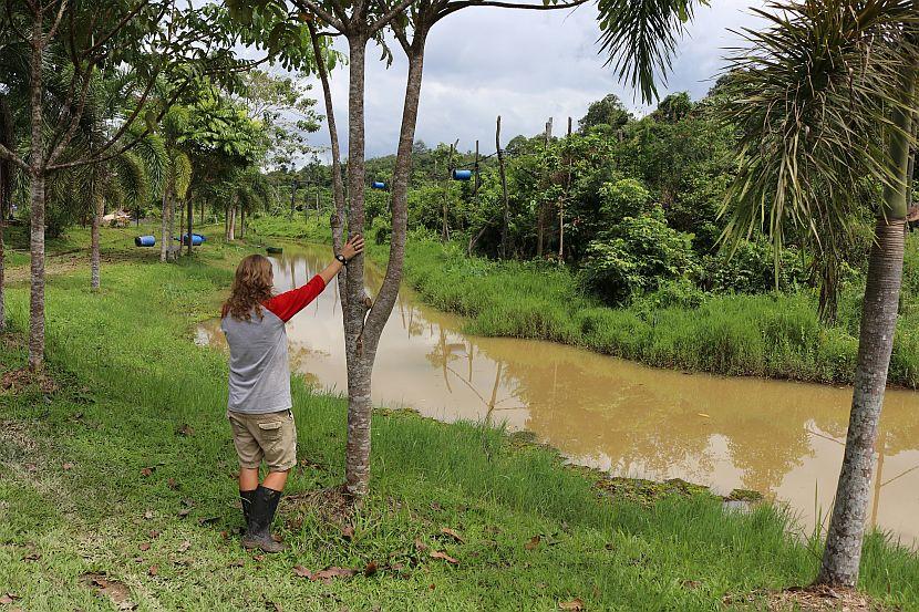 Orangutan Islands at Samboja