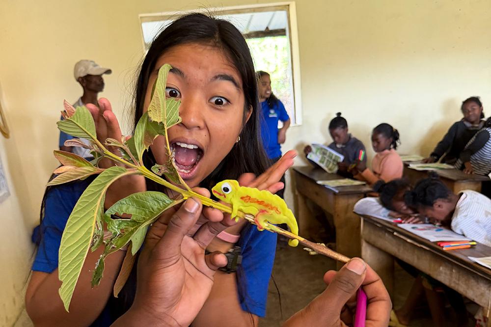 Teaching School Children About Chameleons