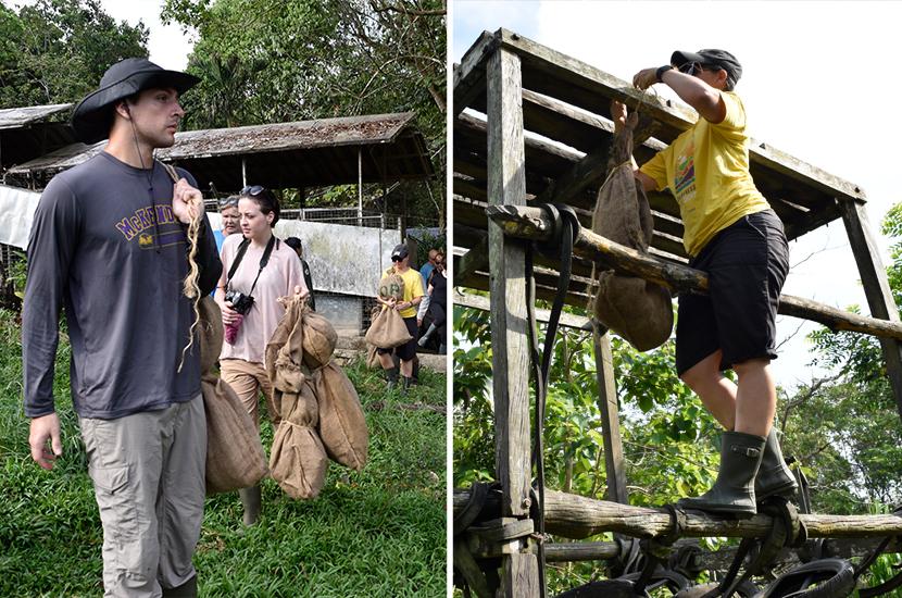 Volunteers With Bear Enrichment